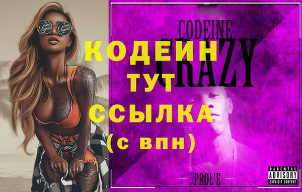 молекула духа Елизово