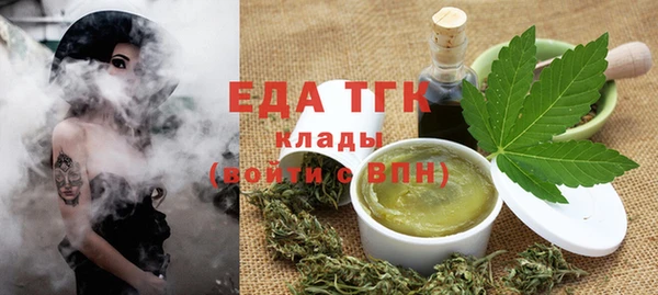 амф Ельня