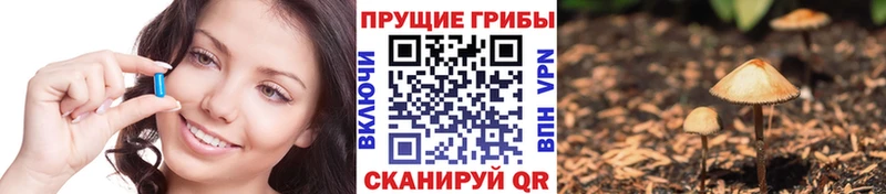 Галлюциногенные грибы ЛСД Верхний Тагил